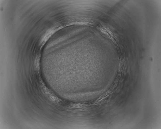 X0000087670098200705181715