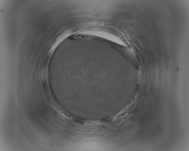 X0000087670099200705181715