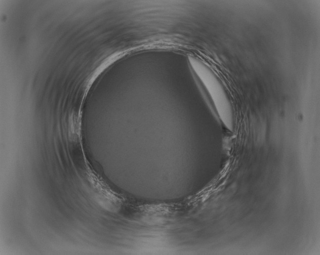 X0000087670100200705181715