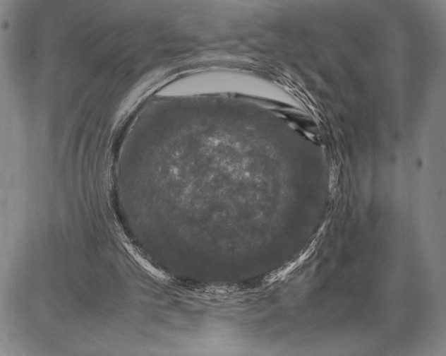 X0000087670101200705181715