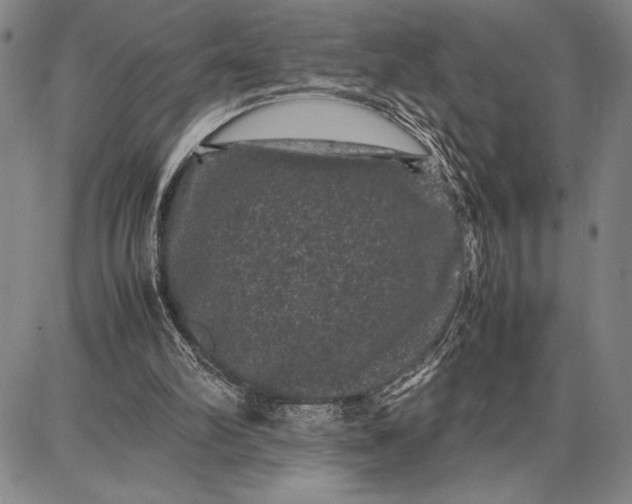 X0000087670102200705181715