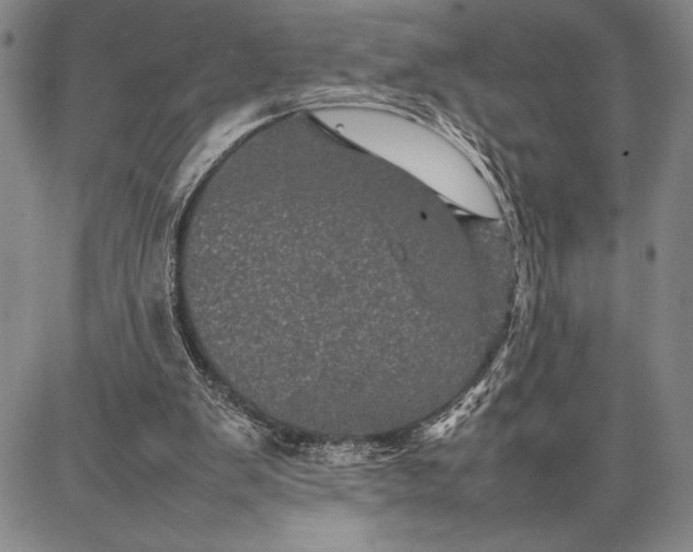 X0000087670103200705181714