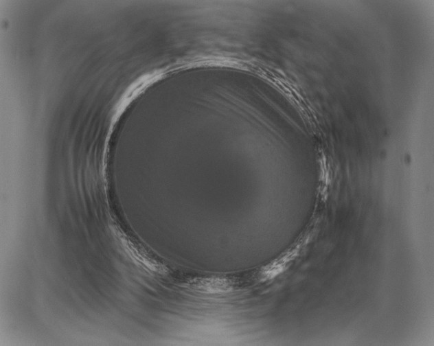 X0000087670104200705181714