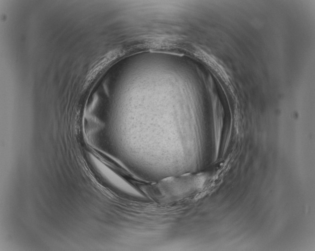 X0000087670105200705181714