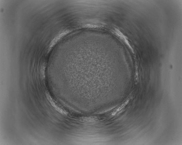 X0000087670106200705181714