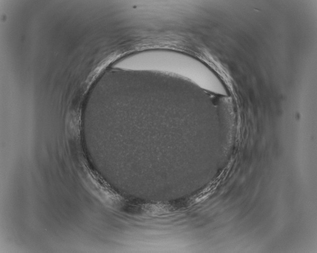 X0000087670107200705181714