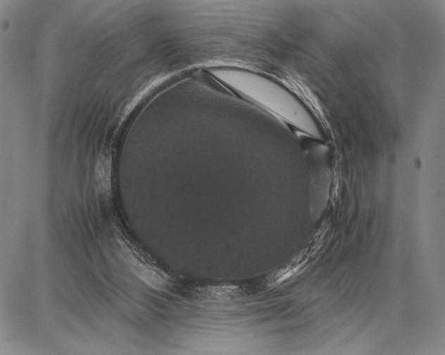 X0000087670108200705181714