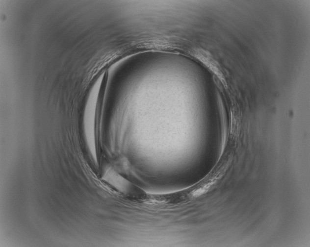 X0000087670109200705181714