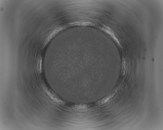 X0000087670110200705181714