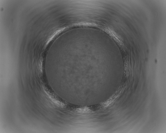 X0000087670112200705181714