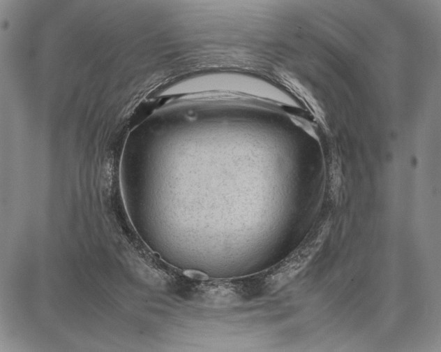 X0000087670113200705181714