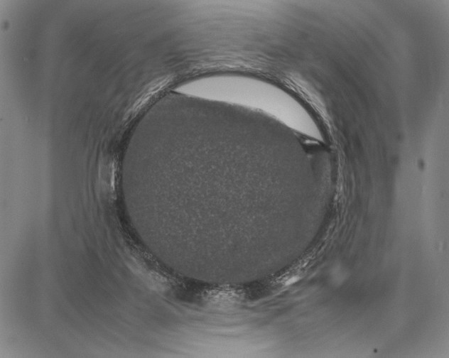 X0000087670115200705181714