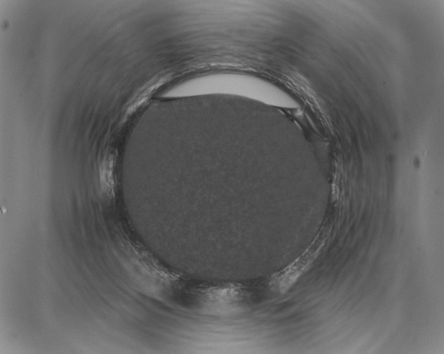 X0000087670116200705181714