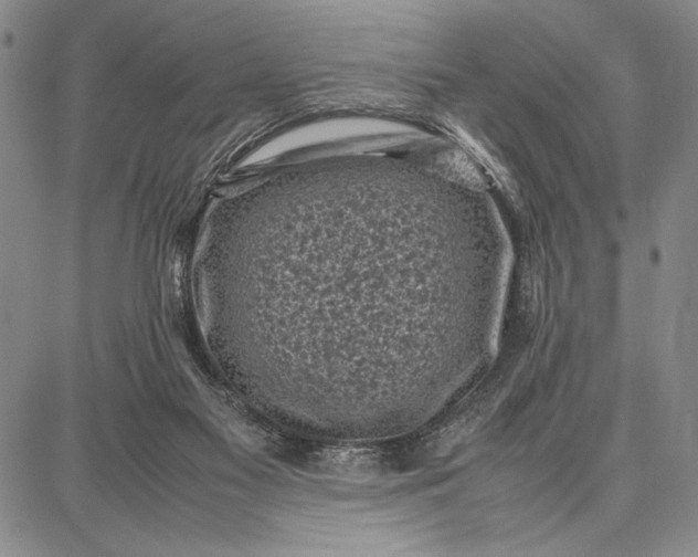 X0000087670117200705181714