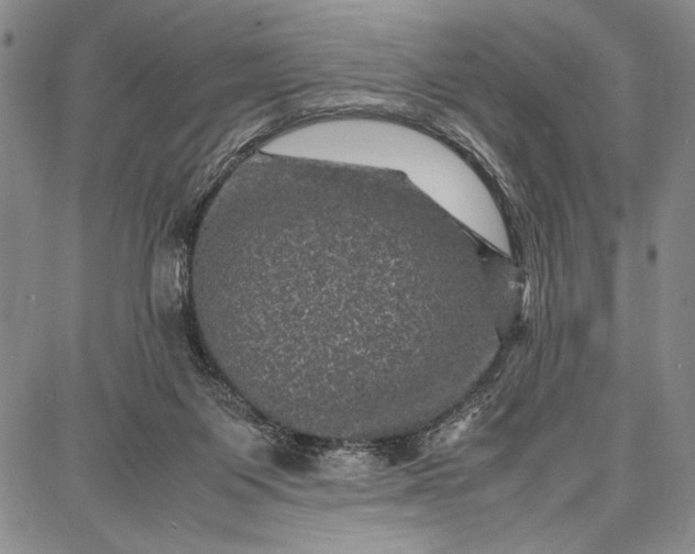 X0000087670119200705181714