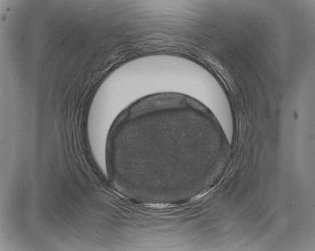 X0000087670121200705181714