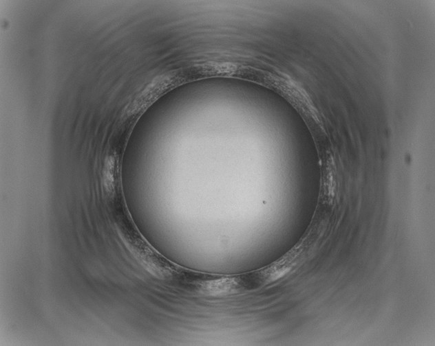 X0000087670122200705181714