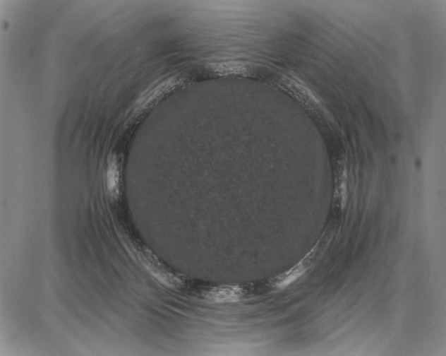 X0000087670124200705181714