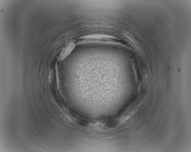 X0000087670125200705181714