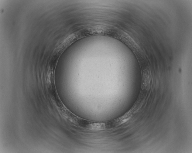 X0000087670126200705181714