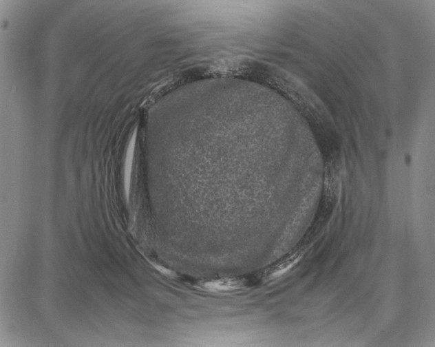 X0000087670127200705181714