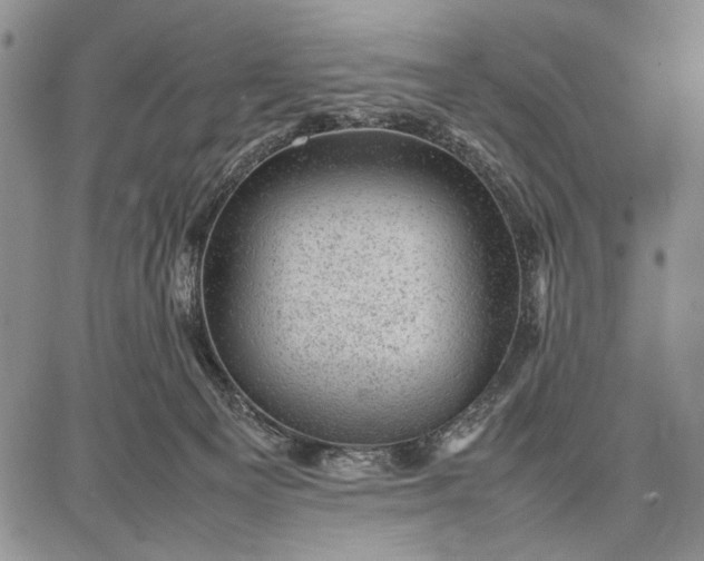 X0000087670129200705181714