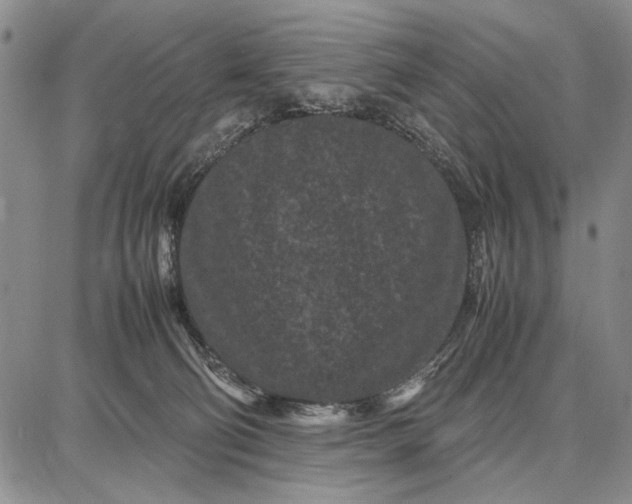 X0000087670130200705181714