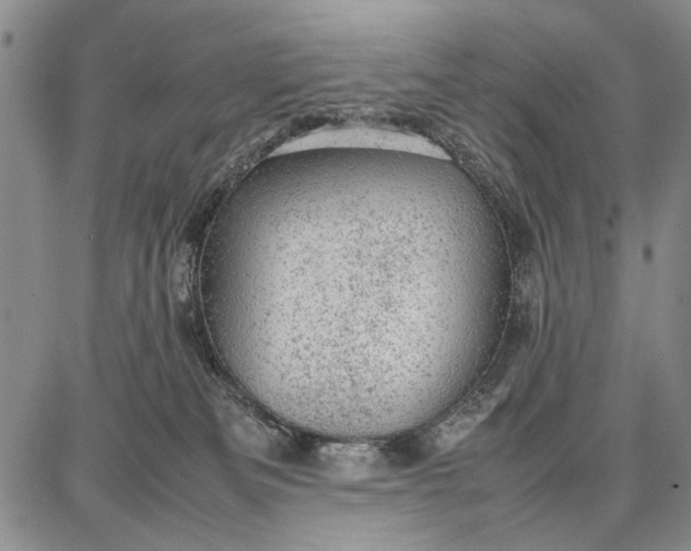 X0000087670133200705181714