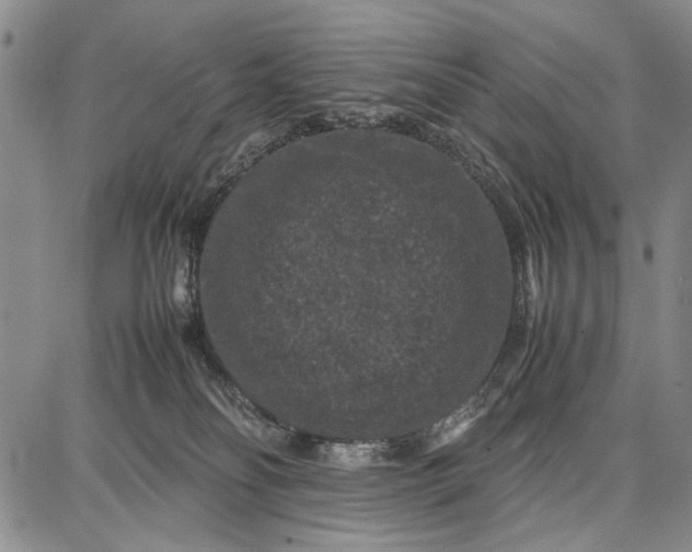 X0000087670134200705181714