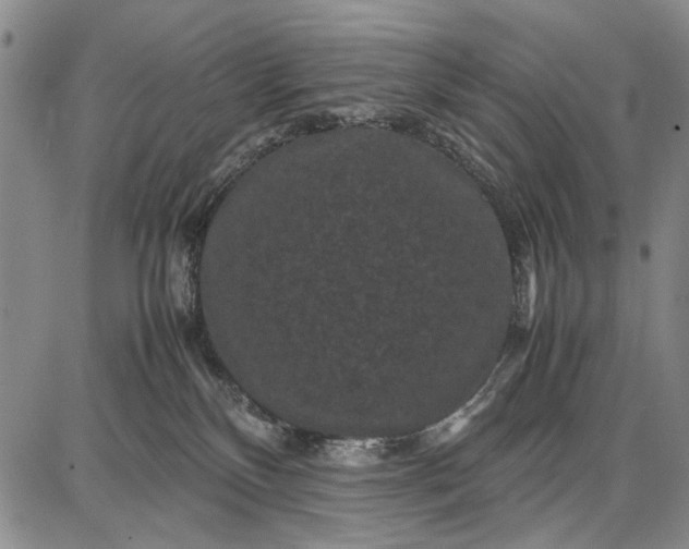 X0000087670136200705181714