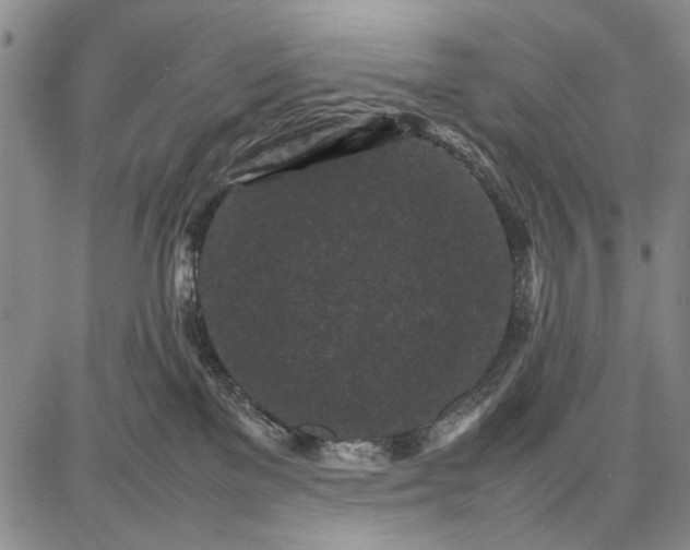 X0000087670137200705181714