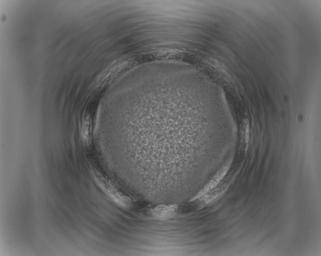 X0000087670138200705181714