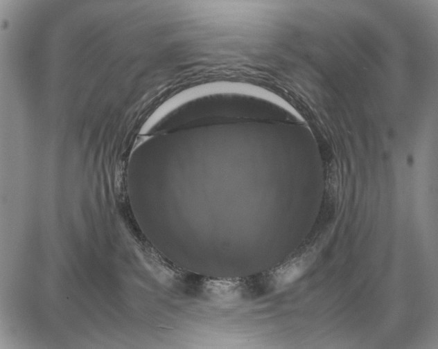 X0000087670139200705181714