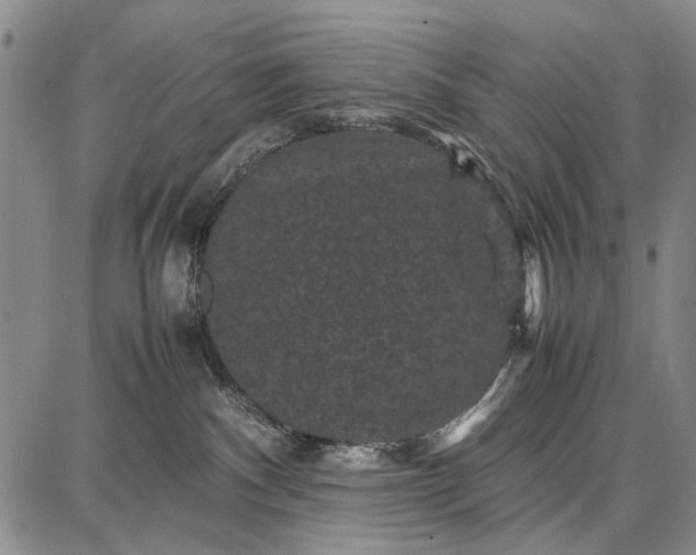 X0000087670140200705181714