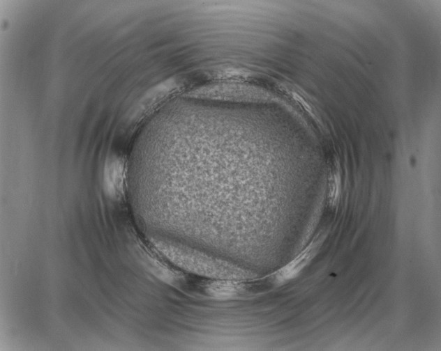 X0000087670142200705181714