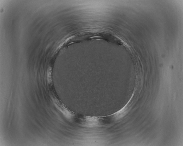 X0000087670144200705181714