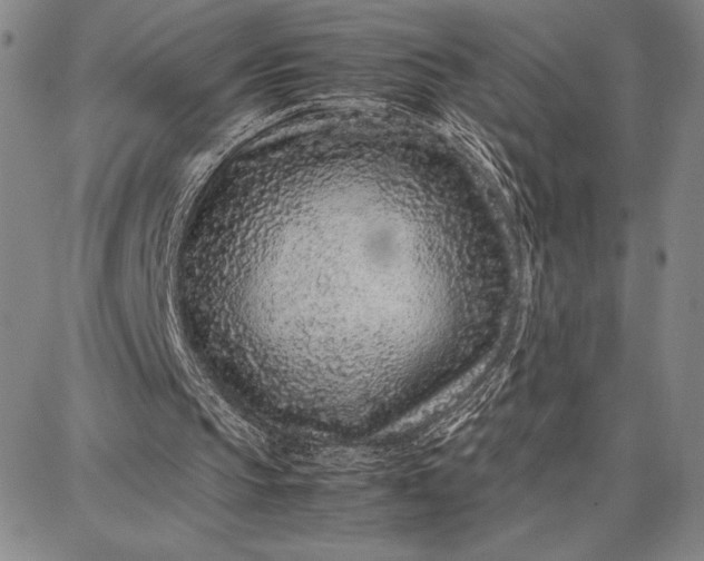 X0000087670145200705181713