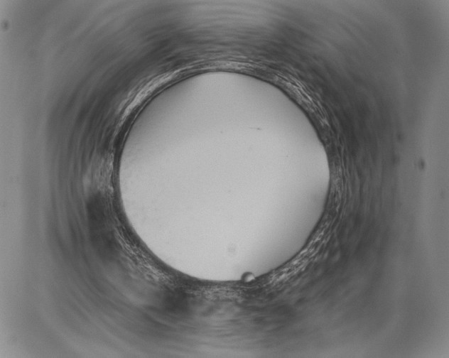 X0000087670146200705181713