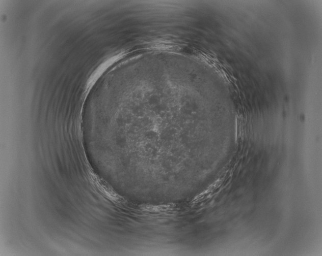 X0000087670147200705181713