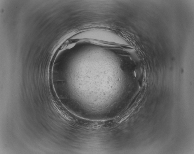 X0000087670148200705181713