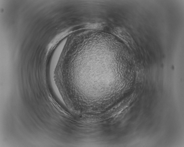 X0000087670149200705181713