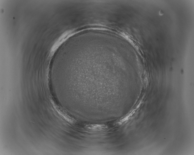 X0000087670151200705181713