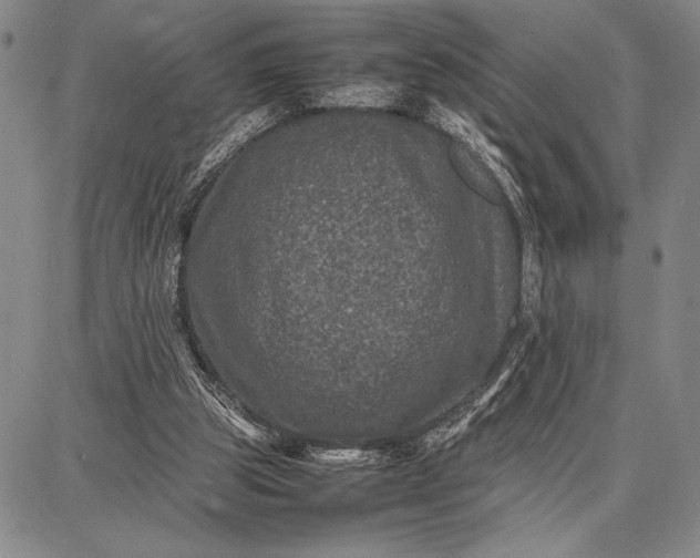 X0000087670153200705181713