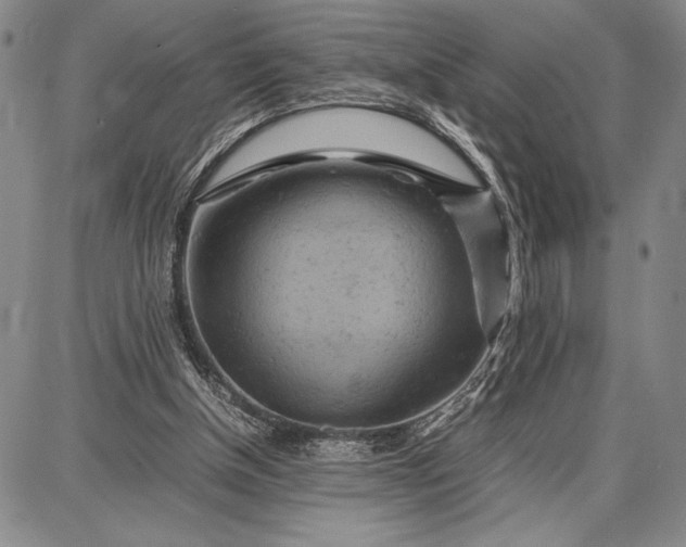 X0000087670154200705181713