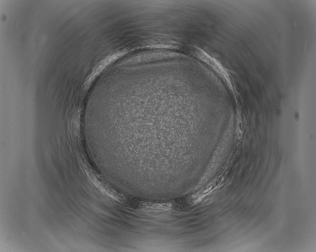 X0000087670155200705181713