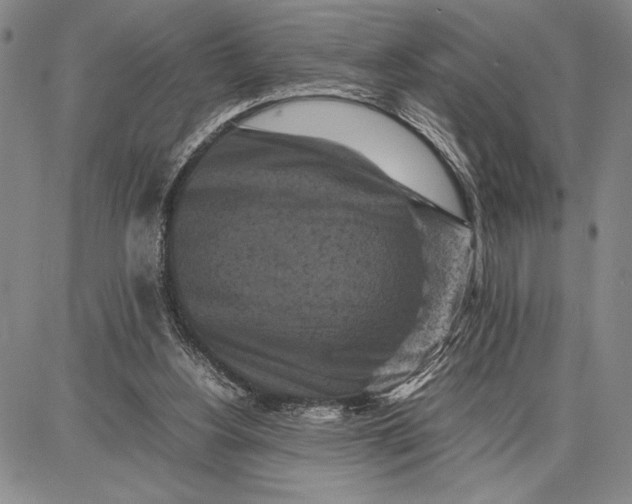 X0000087670156200705181713