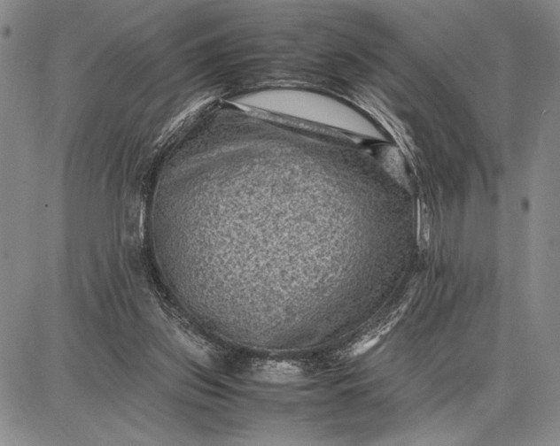 X0000087670157200705181713