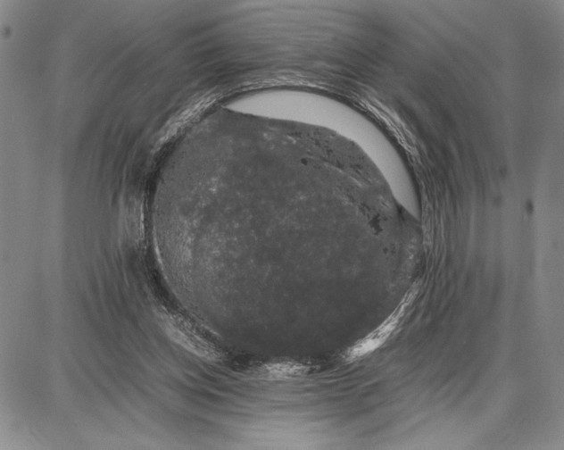 X0000087670158200705181713