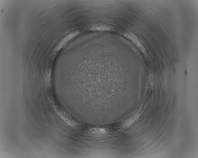 X0000087670159200705181713