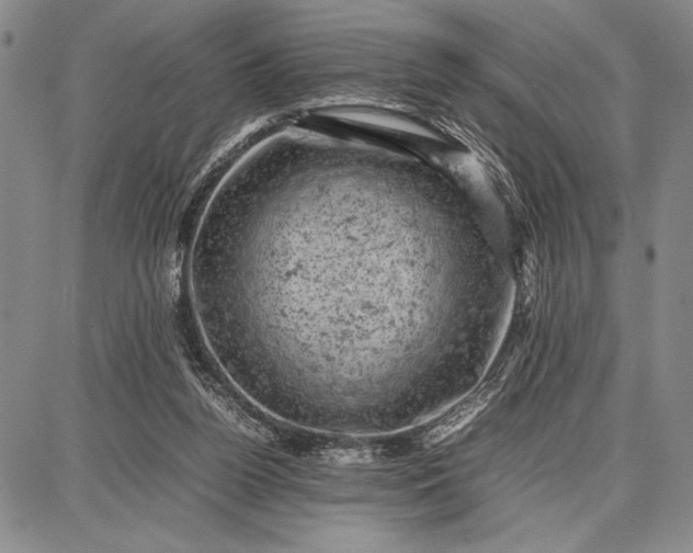 X0000087670160200705181713